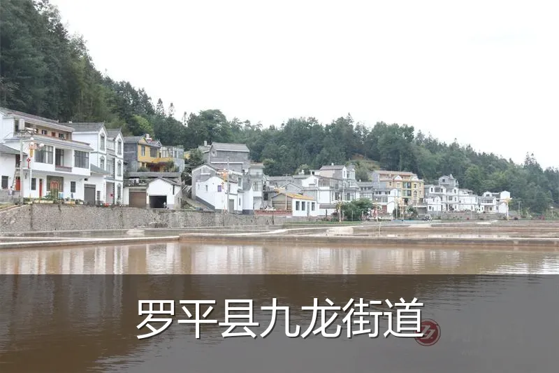 罗平县九龙街道