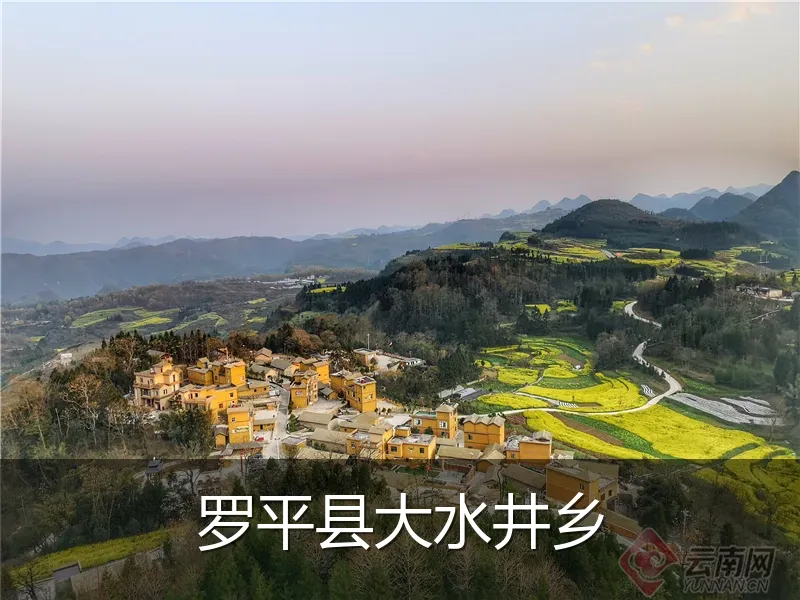 罗平县大水井乡