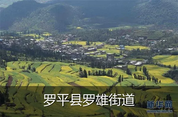 罗平县罗雄街道