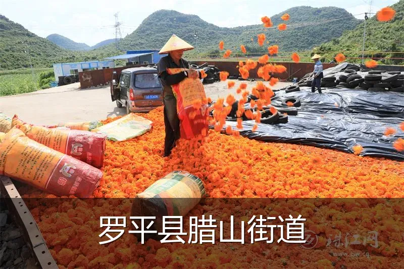 罗平县腊山街道