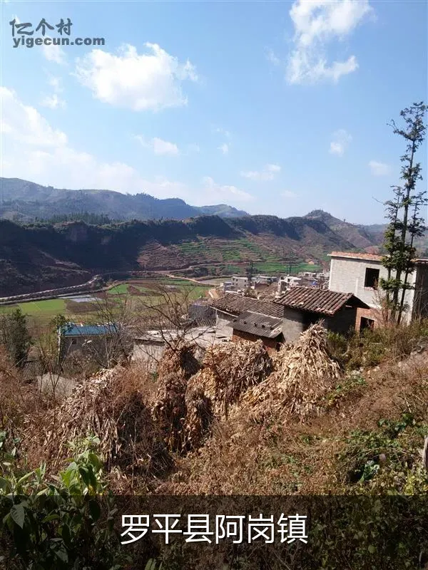罗平县阿岗镇