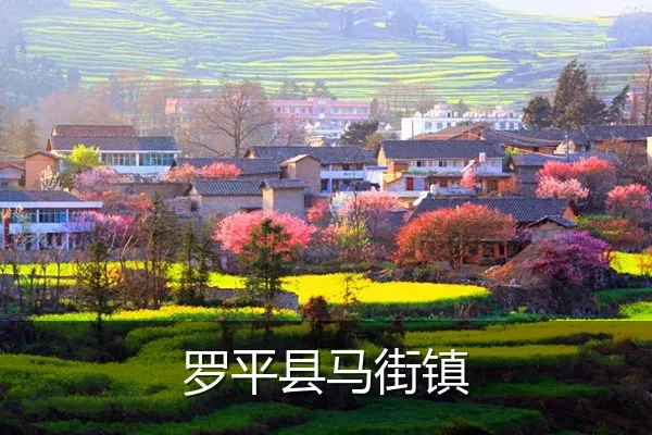罗平县马街镇